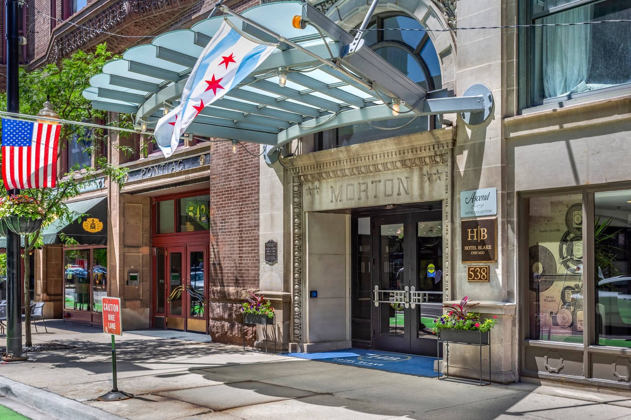 pet stores in downtown chicago