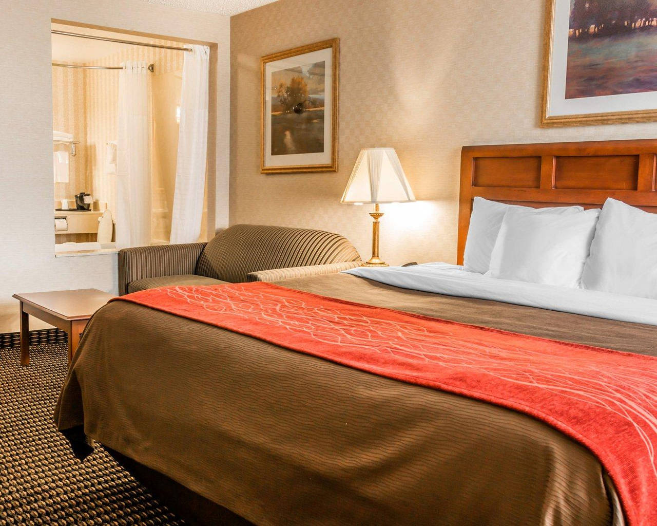 Comfort Inn Hotel In Utica Mi Book Your Stay Today