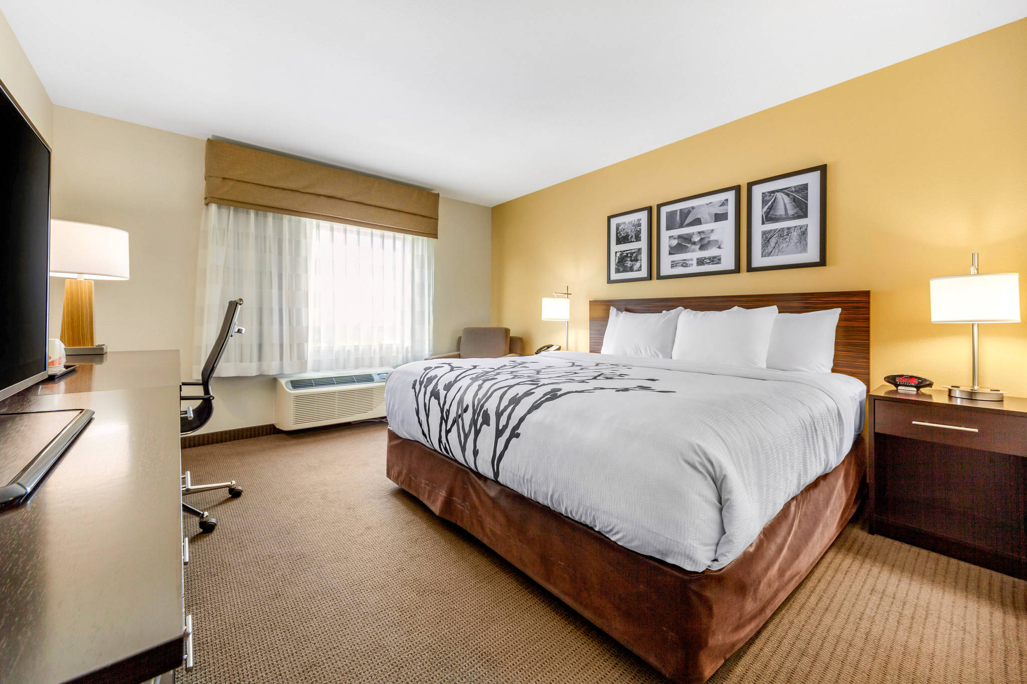 Sleep Inn Suites University Hotel In Lincoln Ne Near Unl