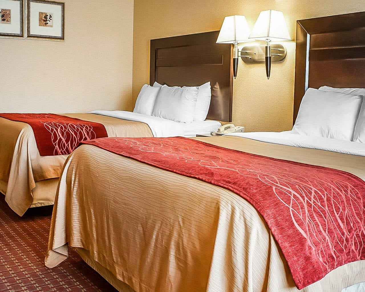Quality Inn Suites Hotel In Roswell Nm Book Now