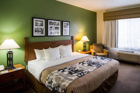 Sleep Inn Suites Conference Center Hotel In Eau Claire Wi