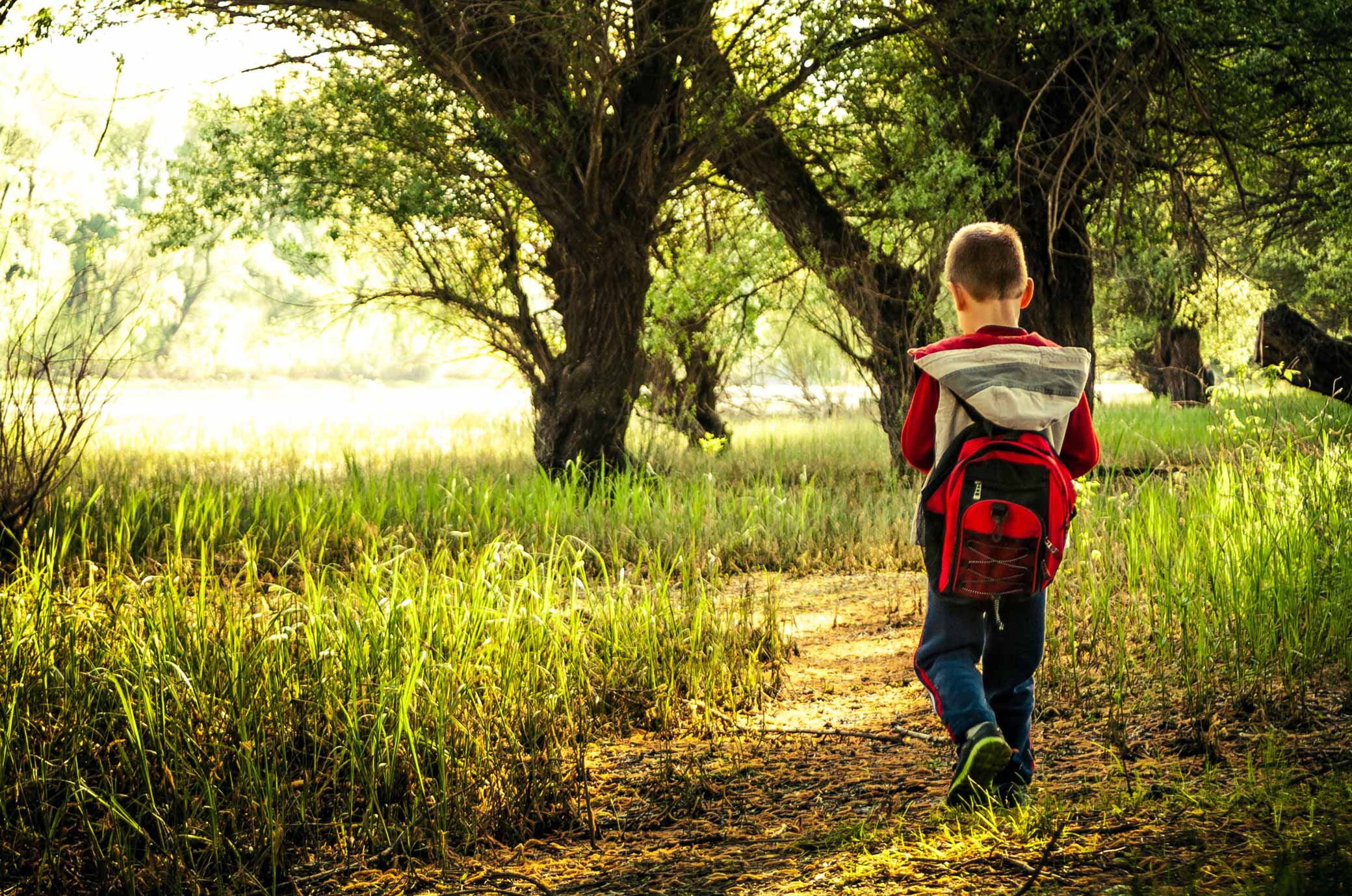 boy walking amongst the trees