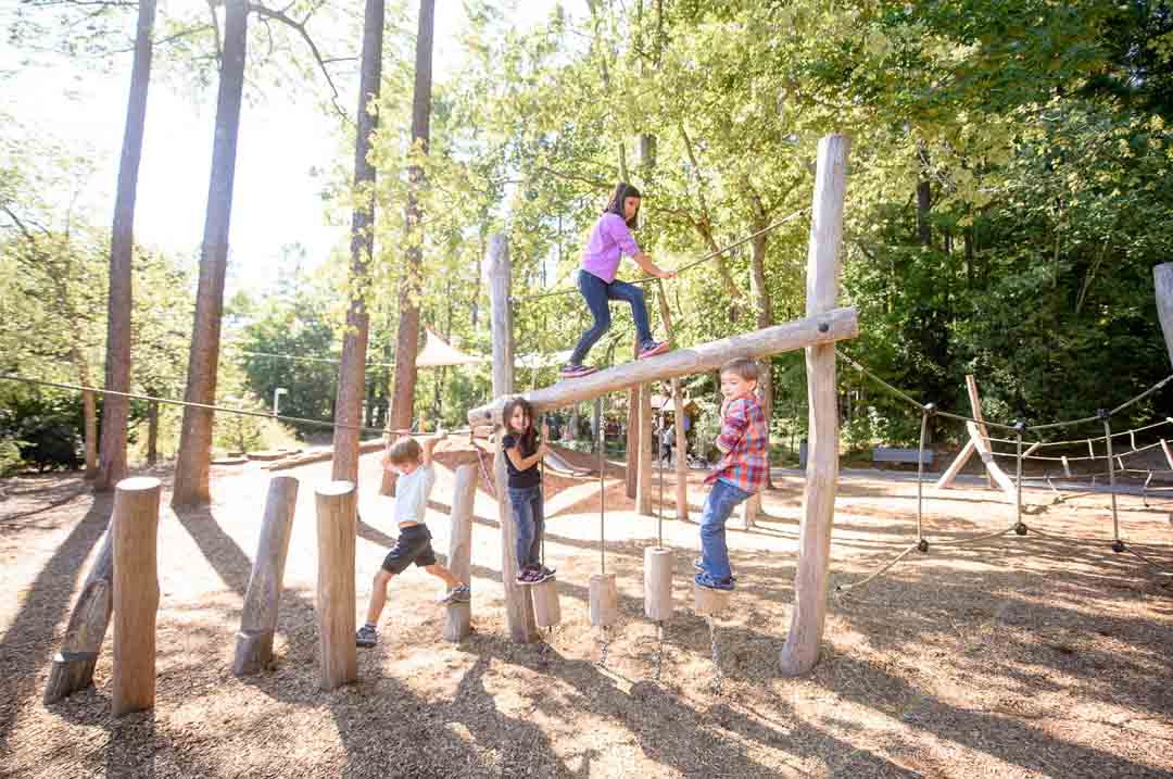 Image of kids playing on the playground at the Museum of Life and Science, one of many things to do in Raleigh with kids.