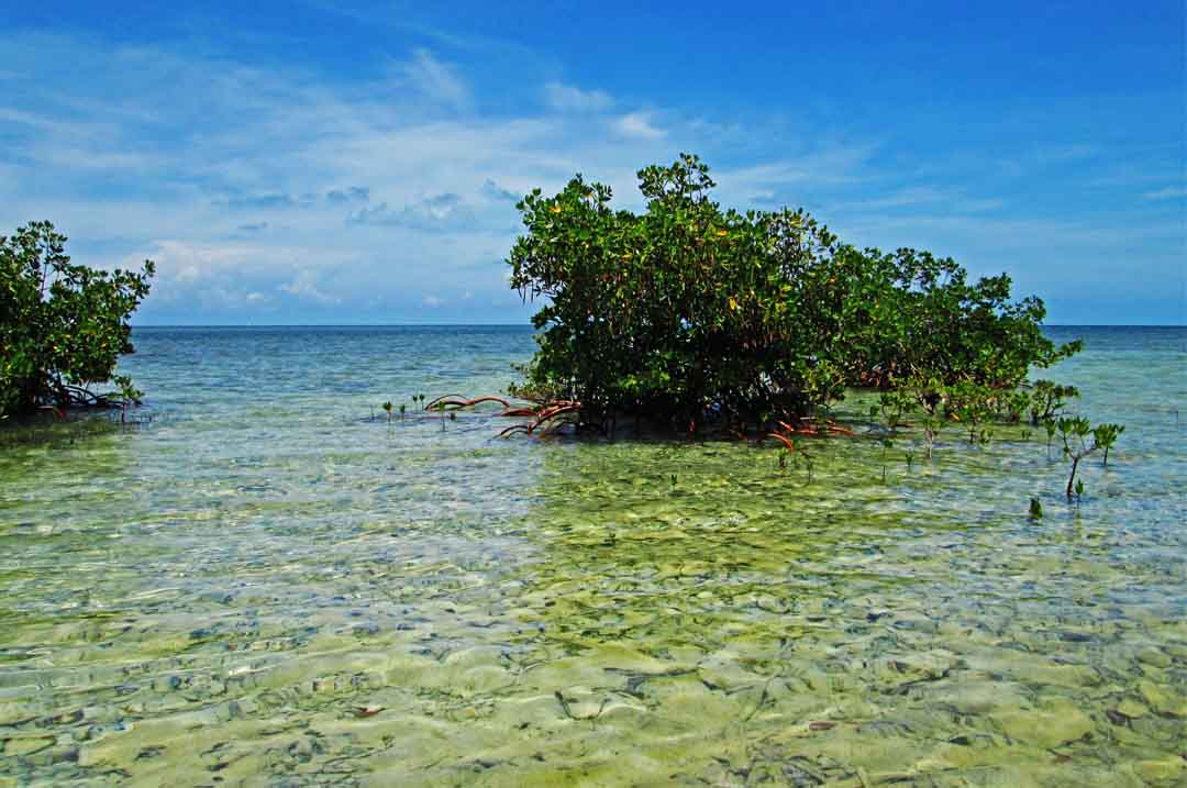 Image of Biscayne Bay at Biscayne National Park, a South Florida park. 